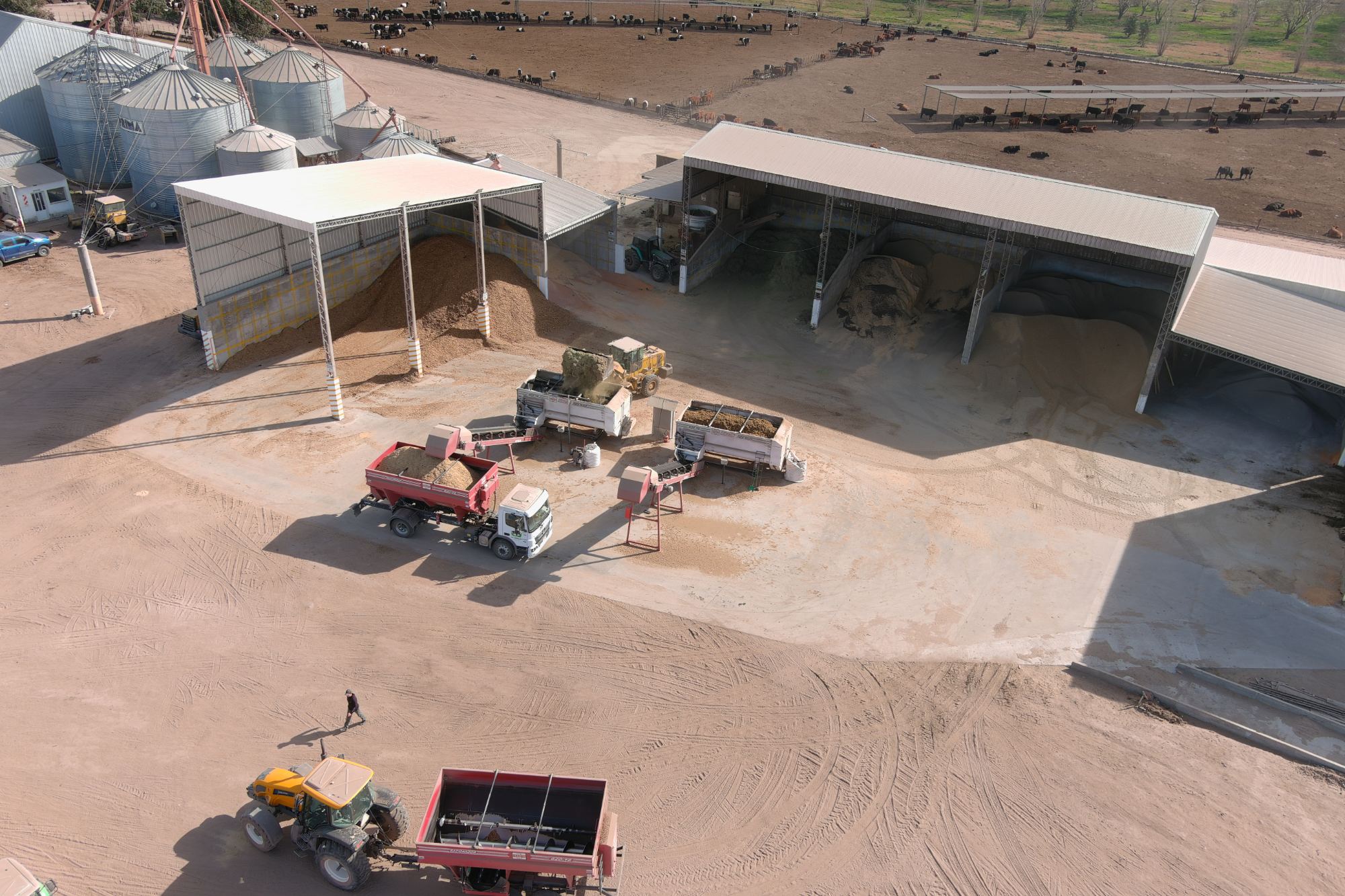 Feedlot de La Criolla